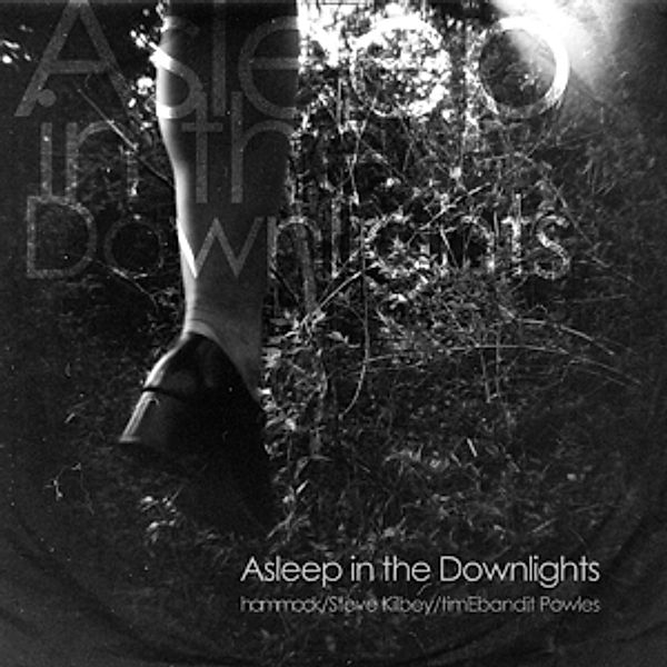 Asleep In The Downlights (Vinyl), Hammock