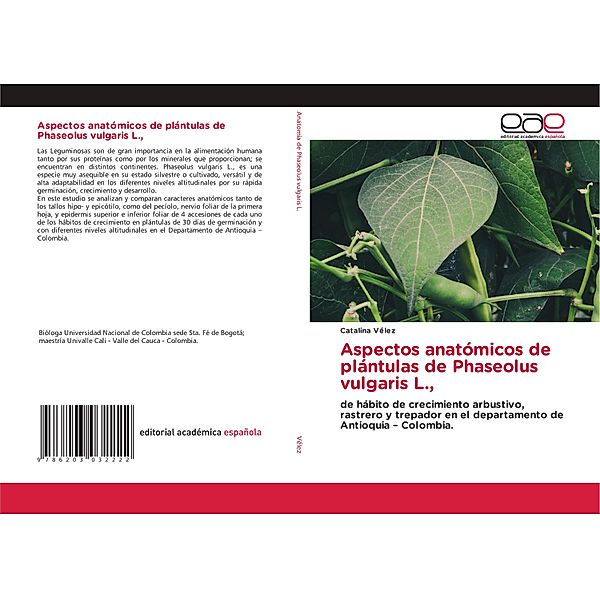 Aspectos anatómicos de plántulas de Phaseolus vulgaris L.,, Catalina Vélez