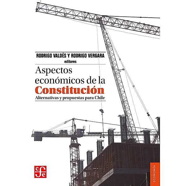 Aspectos económicos de la Constitución, Rodrigo Valdés, Rodrigo Vergara