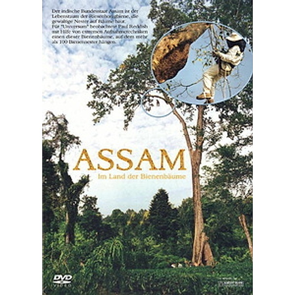 Assam - Im Land der Bienenbäume, Bienen