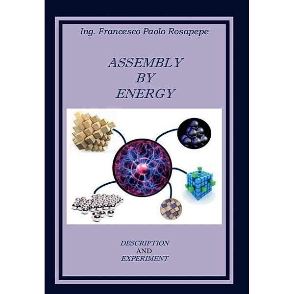 Assembly by Energy, Francesco Paolo Rosapepe