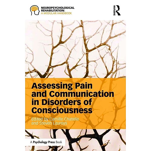 Assessing Pain and Communication in Disorders of Consciousness