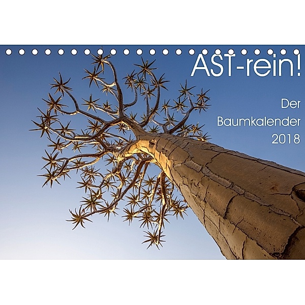Astrein! - Der Baumkalender 2018 (Tischkalender 2018 DIN A5 quer), Irma van der Wiel, Irma van der Wiel