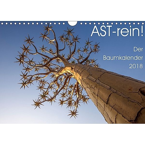 Astrein! - Der Baumkalender 2018 (Wandkalender 2018 DIN A4 quer), Irma van der Wiel, Irma van der Wiel