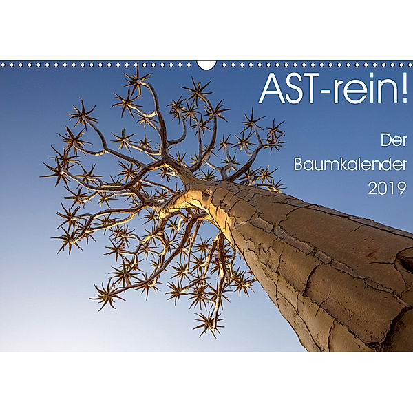 Astrein! - Der Baumkalender 2019 (Wandkalender 2019 DIN A3 quer), Irma van der Wiel