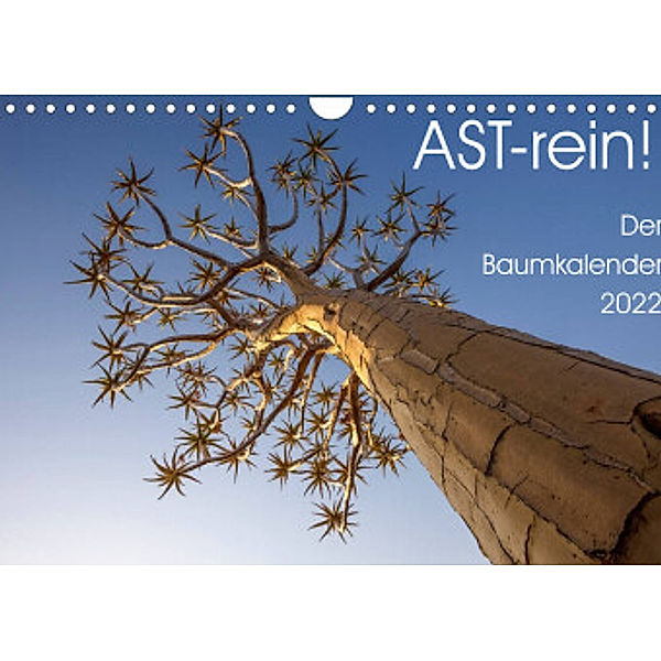 Astrein! - Der Baumkalender 2022 (Wandkalender 2022 DIN A4 quer), Irma van der Wiel