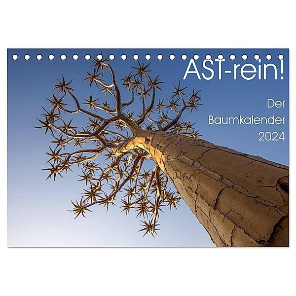 Astrein! - Der Baumkalender 2024 (Tischkalender 2024 DIN A5 quer), CALVENDO Monatskalender, Irma van der Wiel