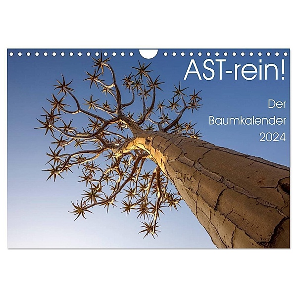 Astrein! - Der Baumkalender 2024 (Wandkalender 2024 DIN A4 quer), CALVENDO Monatskalender, Irma van der Wiel