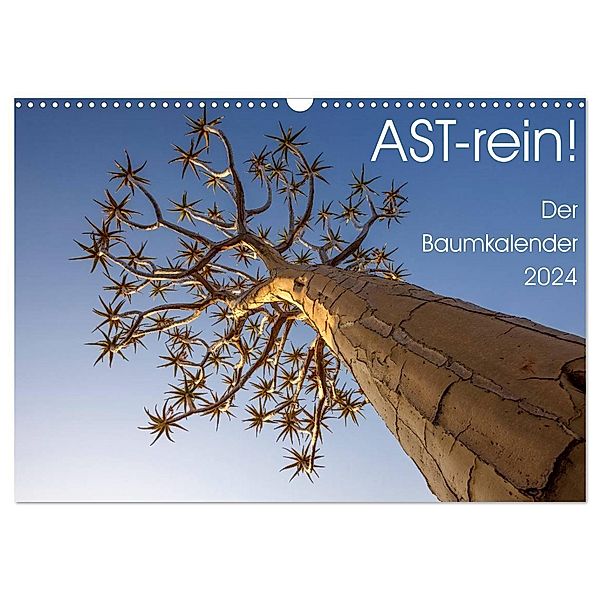 Astrein! - Der Baumkalender 2024 (Wandkalender 2024 DIN A3 quer), CALVENDO Monatskalender, Irma van der Wiel