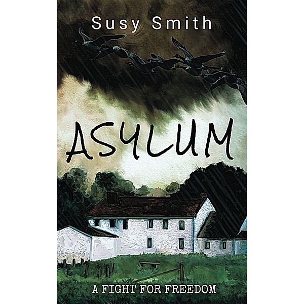 Asylum (Asylum Series, #1) / Asylum Series, Susy Smith