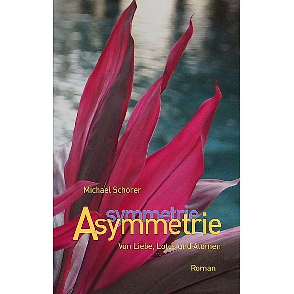 Asymmetrie, Michael Schorer