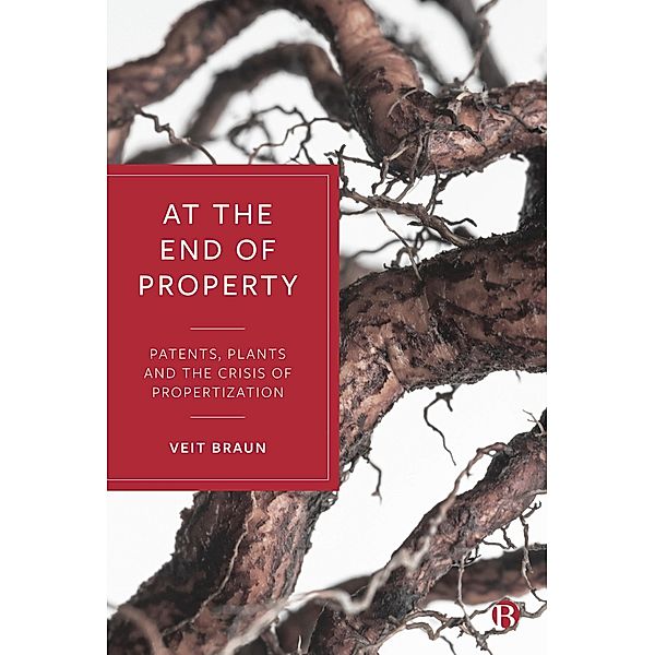 At the End of Property, Veit Braun