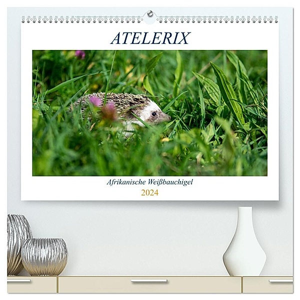 Atelerix - Afrikanische Weissbauchigel (hochwertiger Premium Wandkalender 2024 DIN A2 quer), Kunstdruck in Hochglanz, Marina Zimmermann
