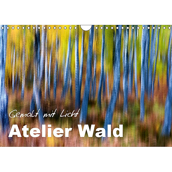 Atelier Wald - gemalt mit Licht (Wandkalender 2019 DIN A4 quer), Ferry BÖHME