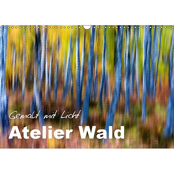Atelier Wald - gemalt mit Licht (Wandkalender 2019 DIN A3 quer), Ferry BÖHME