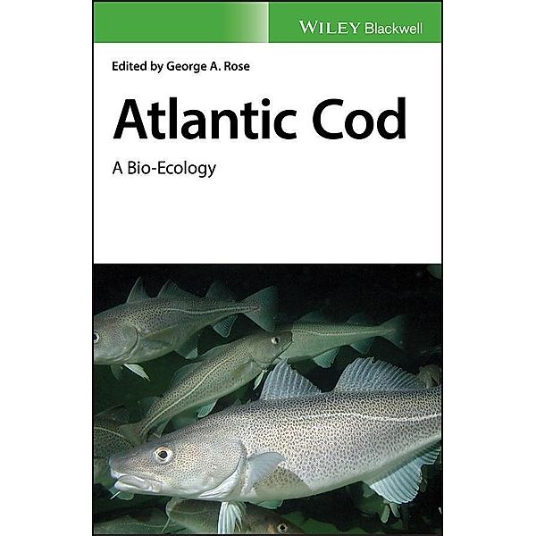 Atlantic Cod