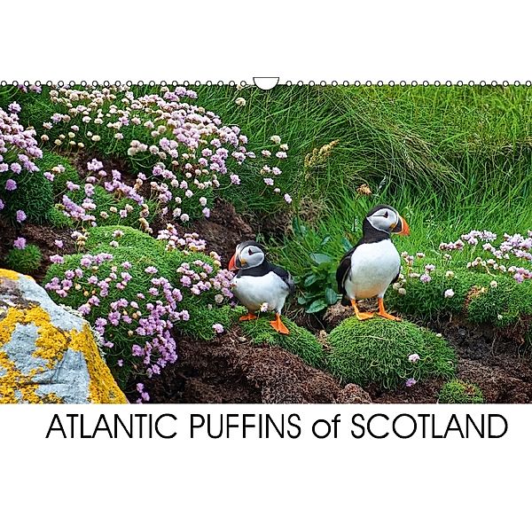 ATLANTIC PUFFINS OF SCOTLAND (Wall Calendar 2018 DIN A3 Landscape), Lister Cumming