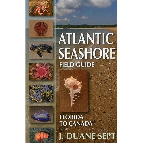 Atlantic Seashore Field Guide, J. Duane Sept