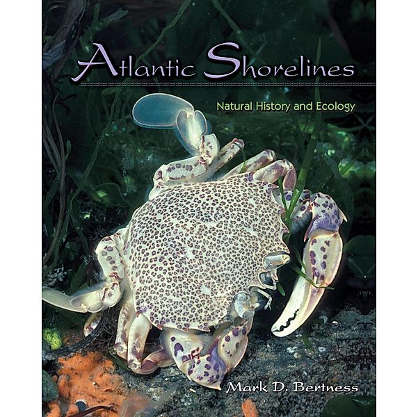Atlantic Shorelines, Mark D. Bertness
