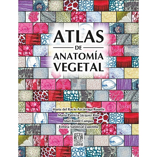 Atlas de anatomía vegetal, María Rocío Azcárraga del Rosette