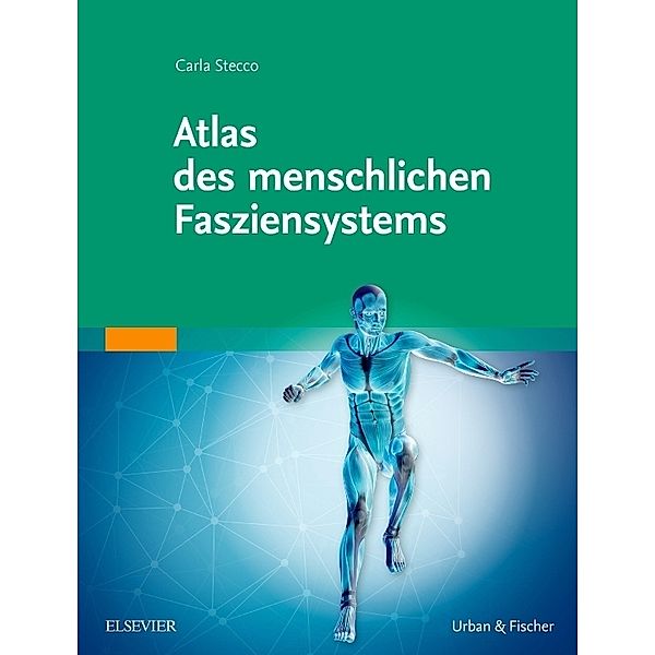 Atlas des menschlichen Fasziensystems, Carla Stecco