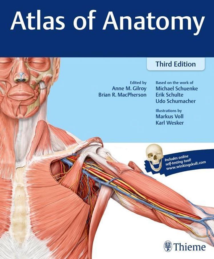 Atlas of Anatomy Thieme eBook v. Michael Schuenke u. weitere | Weltbild