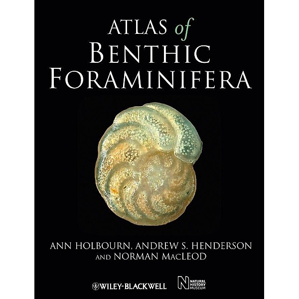 Atlas of Benthic Foraminifera, Ann Holbourn, Andrew S. Henderson, Norman Macleod
