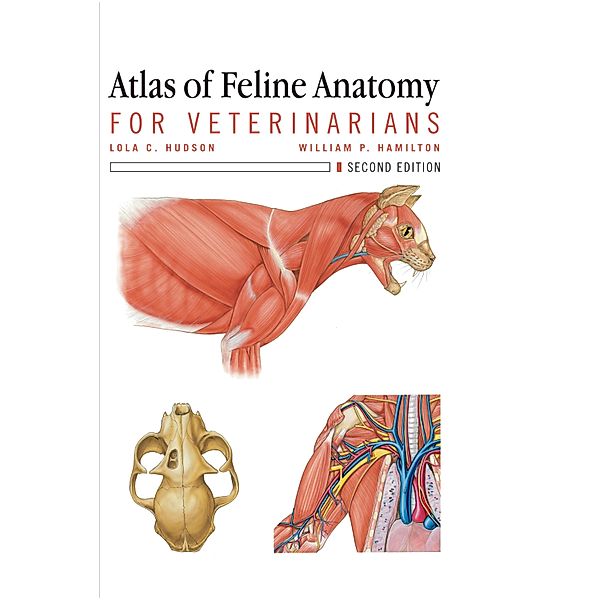 Atlas of Feline Anatomy For Veterinarians, Lola Hudson, William Hamilton