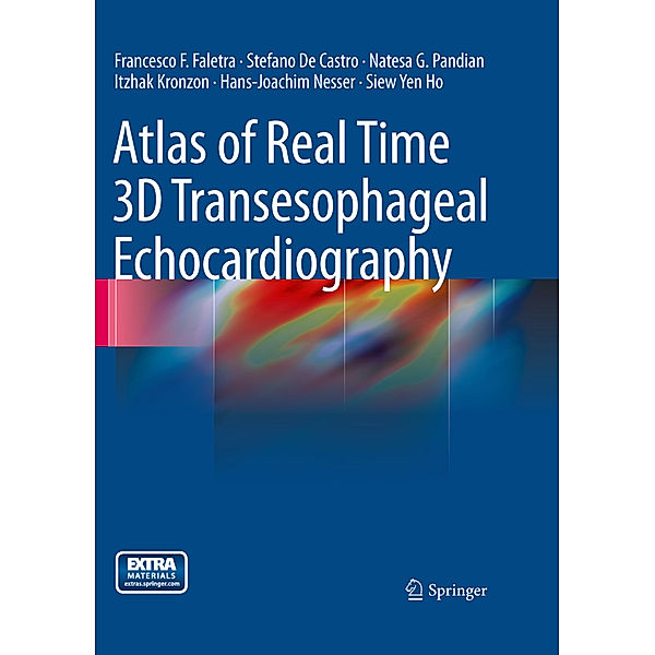 Atlas of Real Time 3D Transesophageal Echocardiography, Francesco F. Faletra, Stefano de Castro, Natesa G. Pandian, Itzhak Kronzon, Hans-Joachim Nesser, Siew Yen Ho