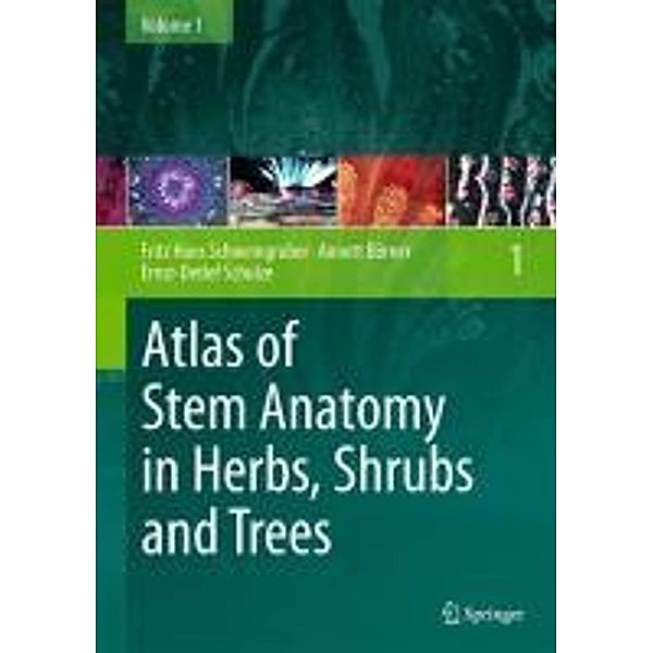 Atlas of Stem Anatomy in Herbs, Shrubs and Trees, Fritz Hans Schweingruber, Annett Börner, Ernst-Detlef Schulze