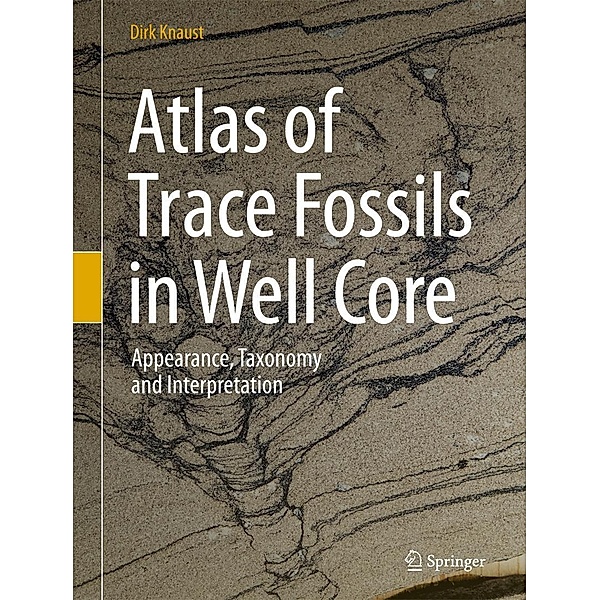 Atlas of Trace Fossils in Well Core, Dirk Knaust
