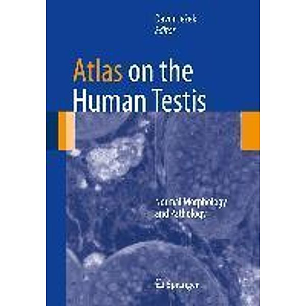 Atlas on the Human Testis
