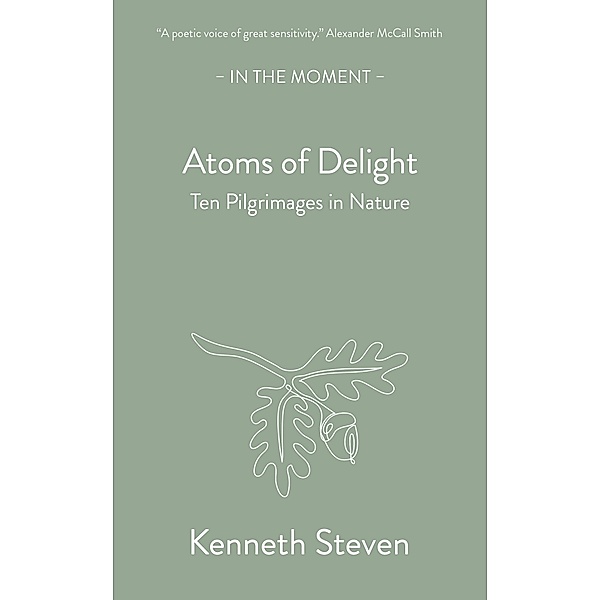 Atoms of Delight / In the Moment, Steven Kenneth
