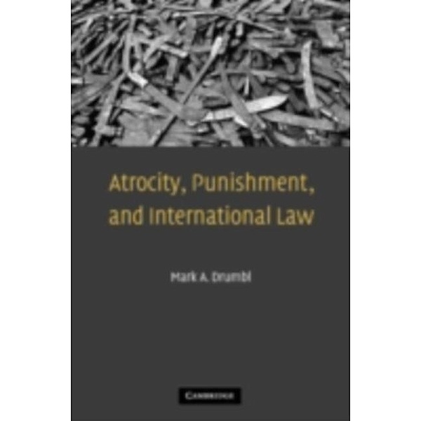 Atrocity, Punishment, and International Law, Mark A. Drumbl