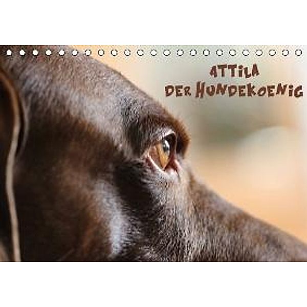 Attila, Der Hundekönig (Tischkalender 2016 DIN A5 quer), Heike Hultsch