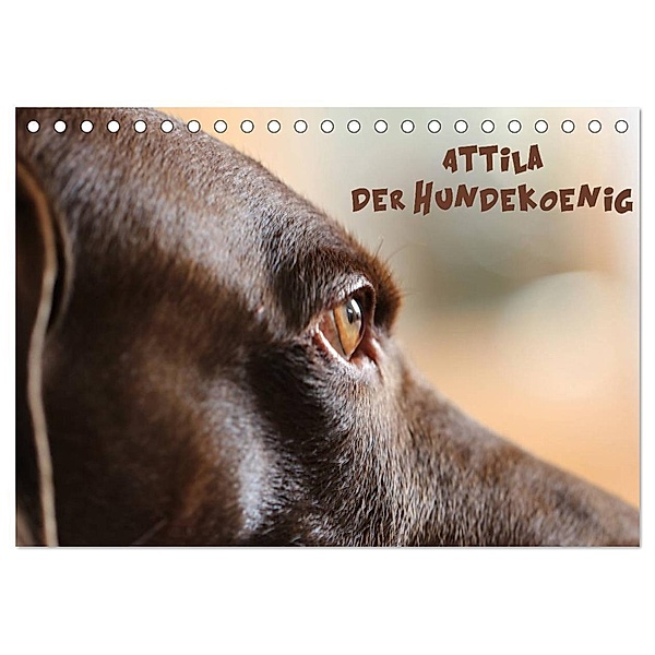 Attila, Der Hundekönig (Tischkalender 2024 DIN A5 quer), CALVENDO Monatskalender, Heike Hultsch
