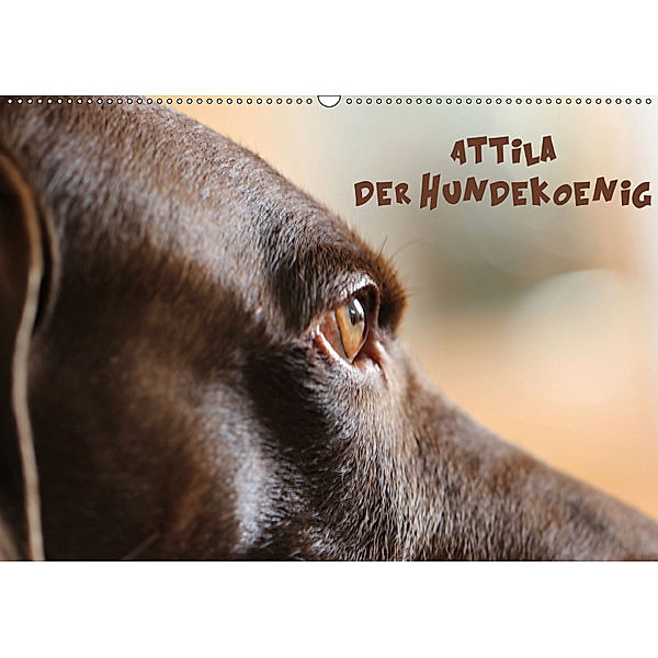 Attila, Der Hundekönig (Wandkalender 2019 DIN A2 quer), Heike Hultsch