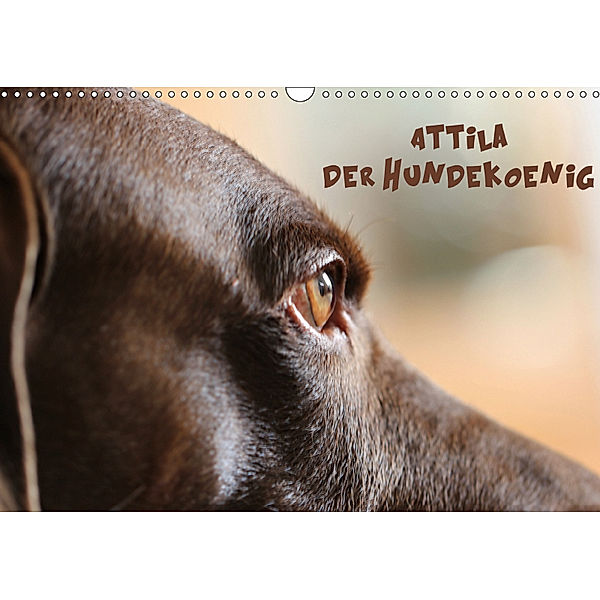 Attila, Der Hundekönig (Wandkalender 2019 DIN A3 quer), Heike Hultsch