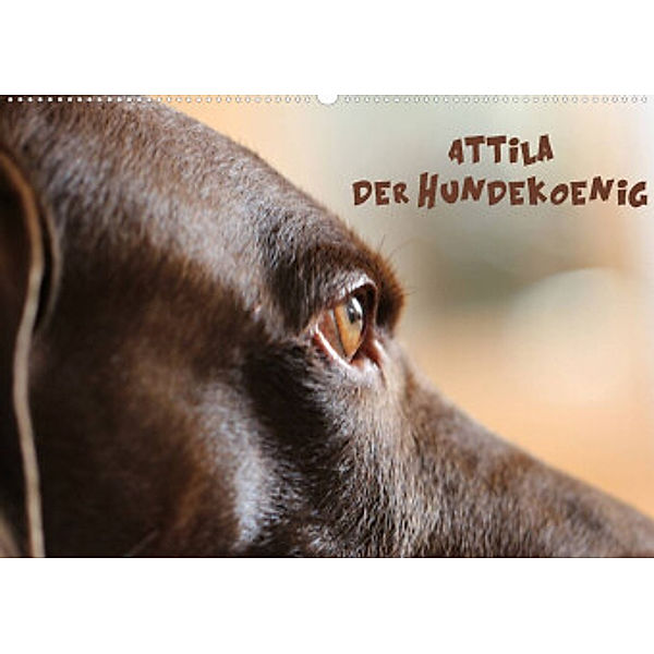 Attila, Der Hundekönig (Wandkalender 2022 DIN A2 quer), Heike Hultsch