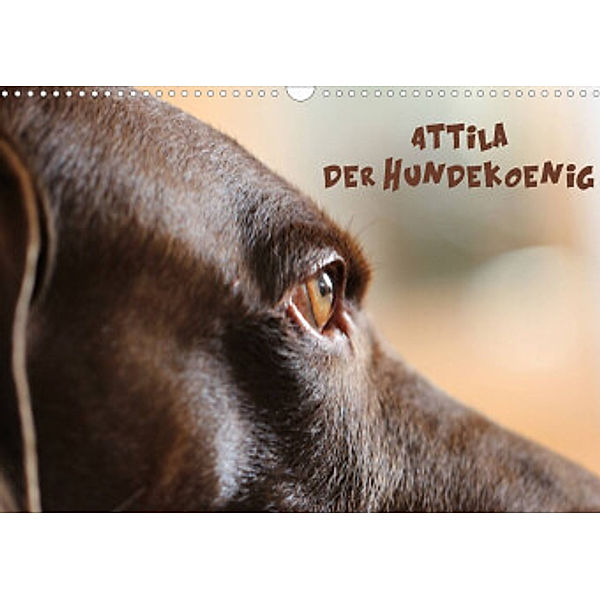 Attila, Der Hundekönig (Wandkalender 2022 DIN A3 quer), Heike Hultsch