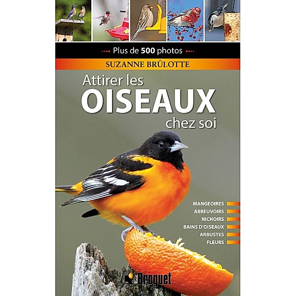 Attirer les oiseaux chez soi, Brulotte Suzanne Brulotte