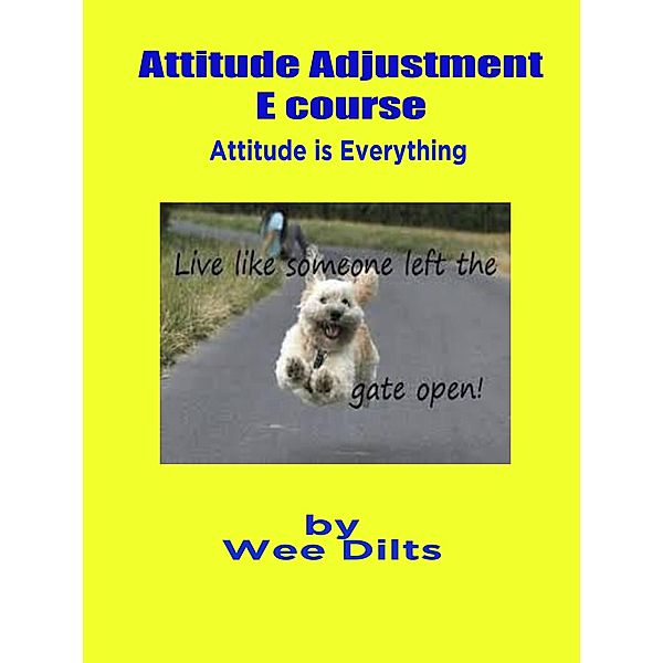 Attitude Adjustment E course, Wee Dilts