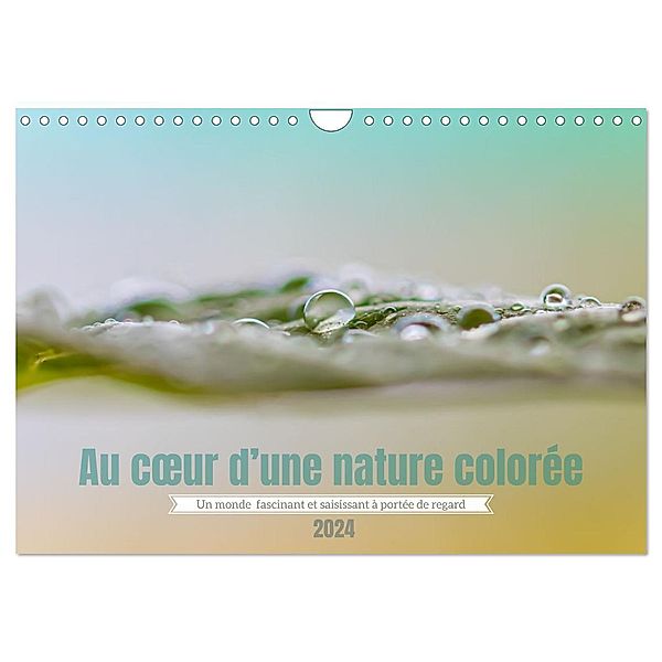 Au coeur d'une nature colorée (Calendrier mural 2024 DIN A4 horizontal), Clément Guerin