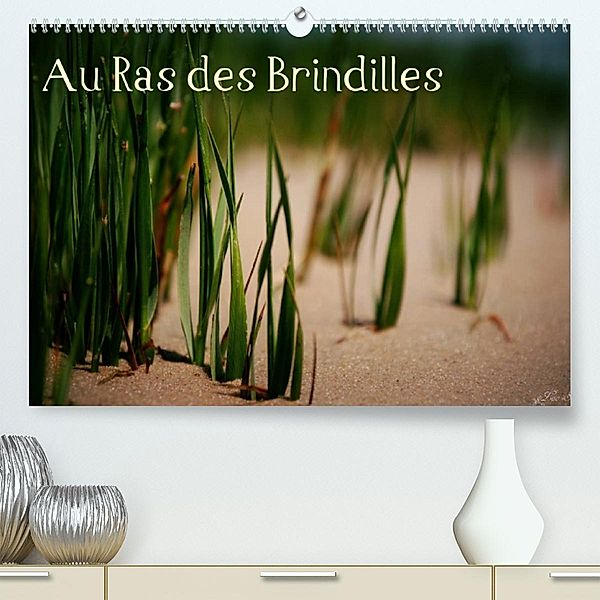 Au Ras des Brindilles (Premium, hochwertiger DIN A2 Wandkalender 2023, Kunstdruck in Hochglanz), Loo Sainto