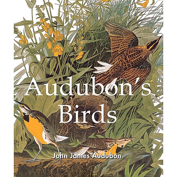 Audubon's Birds, John James Audubon