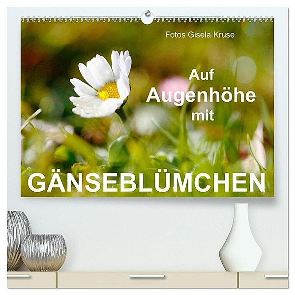 Auf Augenhöhe mit Gänseblümchen (hochwertiger Premium Wandkalender 2024 DIN A2 quer), Kunstdruck in Hochglanz, Gisela Kruse