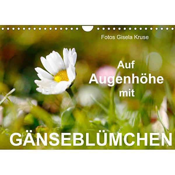 Auf Augenhöhe mit Gänseblümchen (Wandkalender 2022 DIN A4 quer), Gisela Kruse