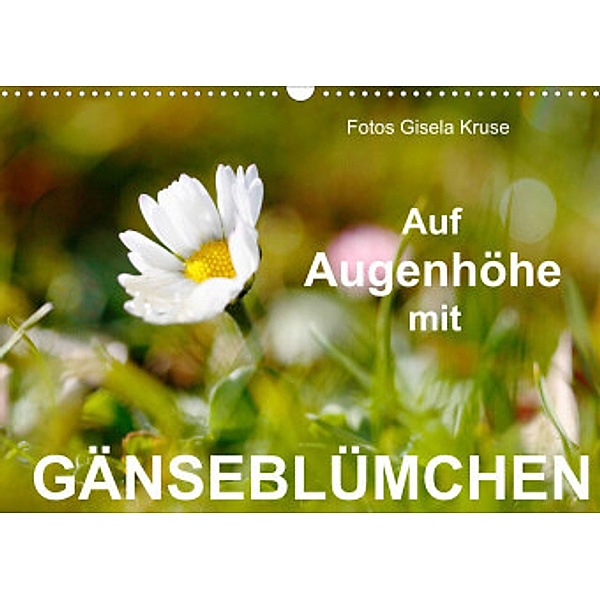 Auf Augenhöhe mit Gänseblümchen (Wandkalender 2022 DIN A3 quer), Gisela Kruse