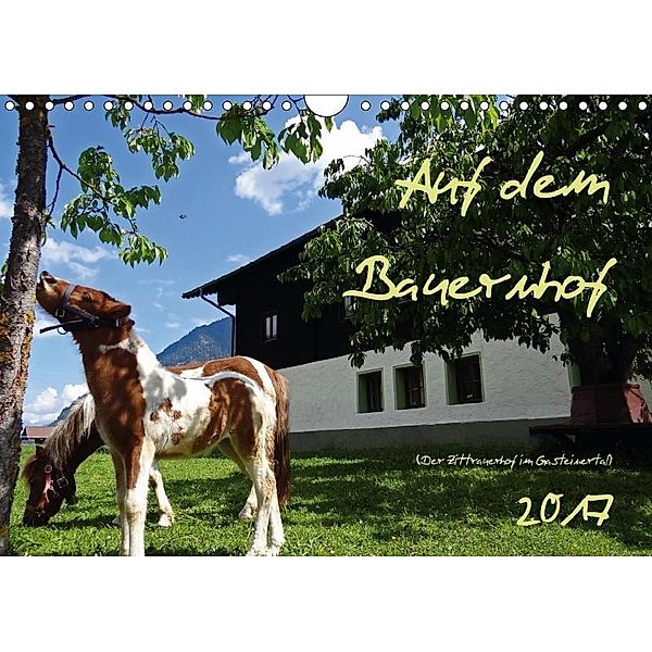 Auf dem Bauernhof - Der Zittrauerhof im Gasteinertal (Wandkalender 2017 DIN A4 quer), N N