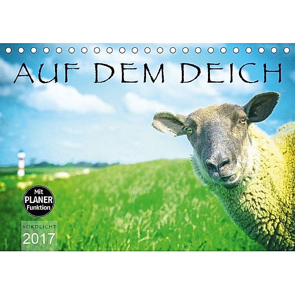 AUF DEM DEICH (Tischkalender 2017 DIN A5 quer), Nordlicht